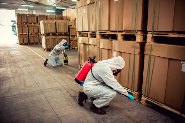 Trusted Bonduel, WI Pest Control Experts