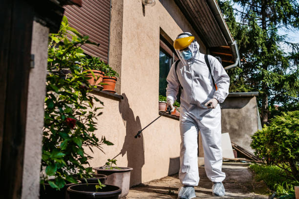 Best Wasp Removal Services  in Bonduel, WI