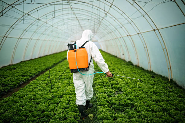 Best Mosquito Control Services  in Bonduel, WI