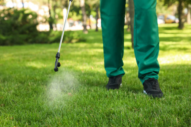 Best Pest Control Near Me  in Bonduel, WI