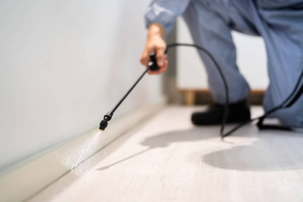 Best Flea Control Services  in Bonduel, WI
