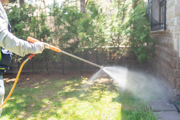 Best Wildlife Control Services  in Bonduel, WI