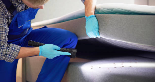 Best Best Pest Control Companies  in Bonduel, WI