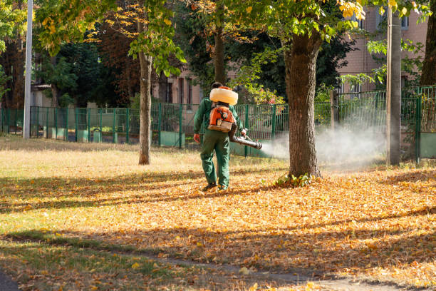 Best Bed Bug Extermination  in Bonduel, WI