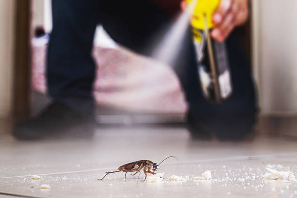Best Cockroach Control Services  in Bonduel, WI