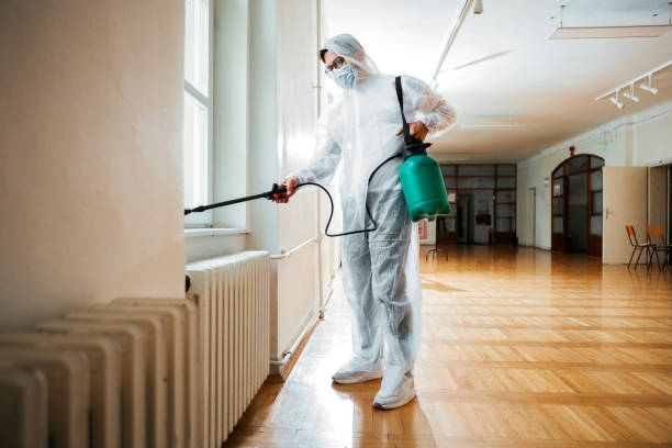 Best Pest Control for Businesses  in Bonduel, WI