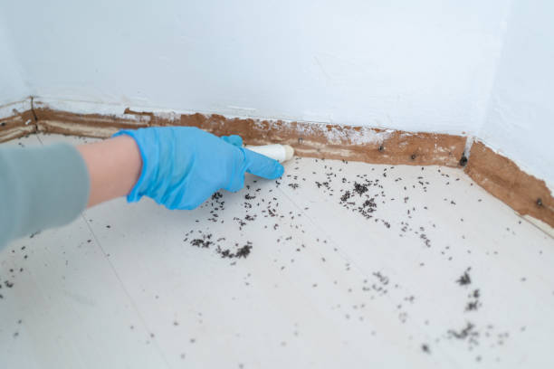 Best Exterminator Services  in Bonduel, WI